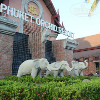 фото из отзыва ID 1349655