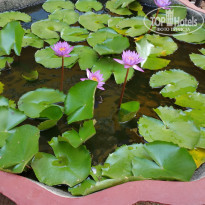 фото из отзыва ID 1349702