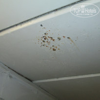 фото из отзыва ID 1349982