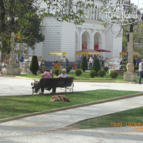 фото из отзыва ID 1347771