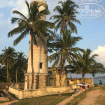 фото из отзыва ID 1340289