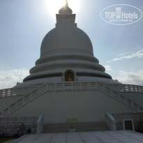 фото из отзыва ID 1340289