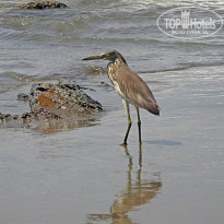 фото из отзыва ID 1340698