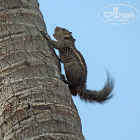 фото из отзыва ID 1340698