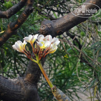 фото из отзыва ID 1340698