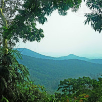 фото из отзыва ID 1340698