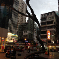 фото из отзыва ID 1347746