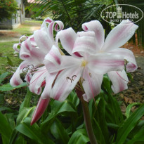 фото из отзыва ID 1340443