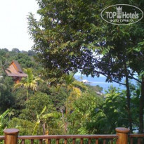 фото из отзыва ID 135613