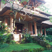 фото из отзыва ID 1350094