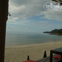 фото из отзыва ID 1350108