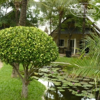 фото из отзыва ID 1350108