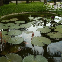 фото из отзыва ID 1350108