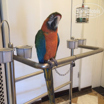 фото из отзыва ID 1350124