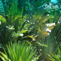 фото из отзыва ID 1350227