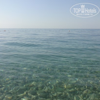 фото из отзыва ID 1350237