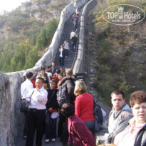 фото из отзыва ID 1350272