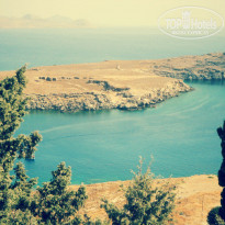 фото из отзыва ID 1350305