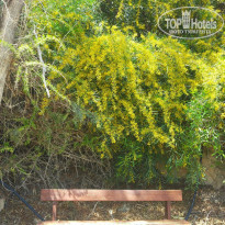 фото из отзыва ID 1350339