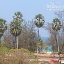 фото из отзыва ID 1350366