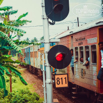 фото из отзыва ID 1350472