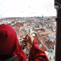 фото из отзыва ID 1350569