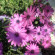 фото из отзыва ID 1350844