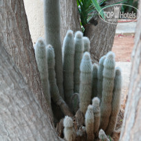 фото из отзыва ID 1350920