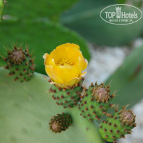 фото из отзыва ID 1350920