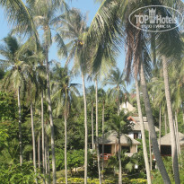 фото из отзыва ID 1350938