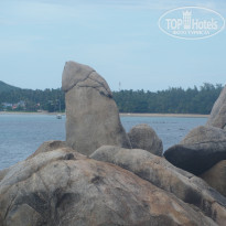 фото из отзыва ID 1350938