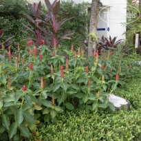 фото из отзыва ID 1350967