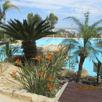 фото из отзыва ID 1350986