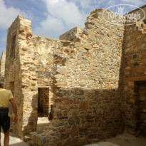 фото из отзыва ID 1350994