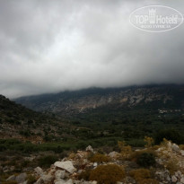 фото из отзыва ID 1350994