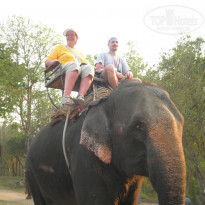 фото из отзыва ID 1351058