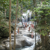 фото из отзыва ID 1351058