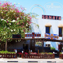 фото из отзыва ID 1351103