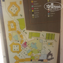 фото из отзыва ID 1350971