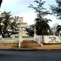 фото из отзыва ID 1351338