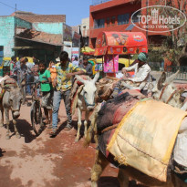 фото из отзыва ID 1351419