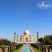 фото из отзыва ID 1351419