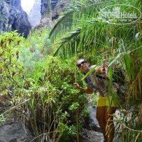 фото из отзыва ID 1351422