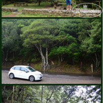 фото из отзыва ID 1351422