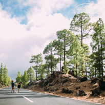 фото из отзыва ID 1351422