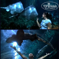 фото из отзыва ID 1351422