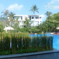 фото из отзыва ID 1351454