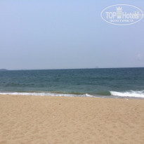 фото из отзыва ID 1351609