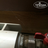 фото из отзыва ID 1351699