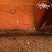 фото из отзыва ID 1351699